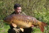 The Coleman strikes again with the beautiful 'Horseshoe' @ 42lb
